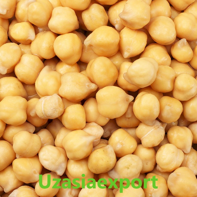 Chickpea